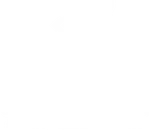 Gryphon Sports Management